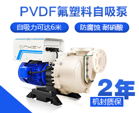 PVDF氟塑料耐腐蚀自吸泵